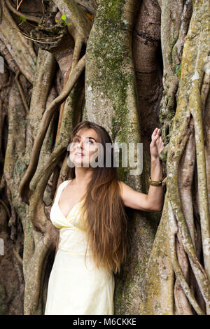 Con i capelli lunghi donna vicino a banyan Foto Stock