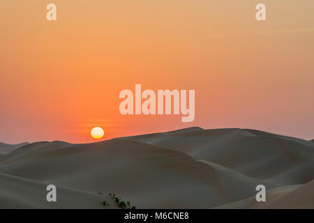 Le dune di sabbia nel deserto al tramonto, Abu Dhabi, Emirati Arabi Uniti Foto Stock