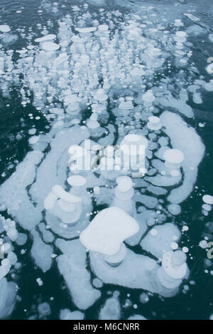 Congelati bolle di metano, inverno, Abramo Lago, Canadian Rockies, Alberta, Foto Stock