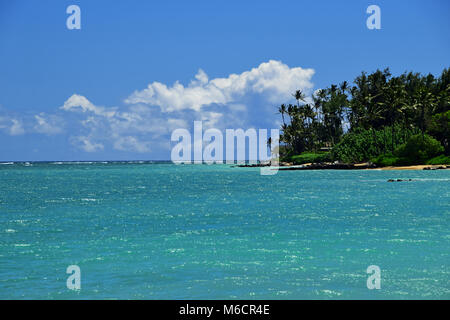 Kanaha Beach Park a Maui North Shore Foto Stock