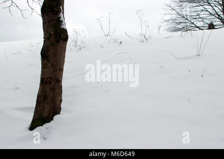 Clydebank, Scotland, Regno Unito. 2 Marzo, 2018. La nevicata continua a causare disagi. I driver sono stati avvertiti di non viaggiare a meno che non sia necessario. Prima di Glasgow gli autobus erano operative, ma molti servizi sono state terminante poco. Abellio ScotRail ha annullato quasi tutti i suoi treni nella cintura centrale. Un numero limitato di servizi stanno cominciando a funzionare di nuovo. Negozi che avevano esaurito essentials, come pane e latte, sono state ora cominciando a ricevere le consegne. Servizi di emergenza, come ad esempio lo Scottish Ambulance Service, hanno lavorato per tutto il disturbo. Iain McGuinness / Alamy Live News Foto Stock