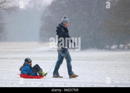 Nonsuch Park, Cheam Surrey, Inghilterra. 2 marzo 2018. Famiglie godendo la neve a Nonsuch Park, Cheam, Surrey. Credito: Julia Gavin/Alamy Live News Foto Stock