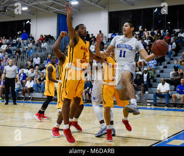 Wellington, Florida, Stati Uniti d'America. 2 Mar, 2018. Wellington guard Nico Toledo (11) tenta di gettare un pass mentre viene custodito da Deerfield Beach Michael Johnson (11) durante la prima metà della classe 9A ragazzi di basket campionato regionale gioco tra Wellington e Deerfield Beach in Wellington Fla., venerdì 2 marzo 2018. Credito: Andres Leiva/Palm Beach post/ZUMA filo/Alamy Live News Foto Stock