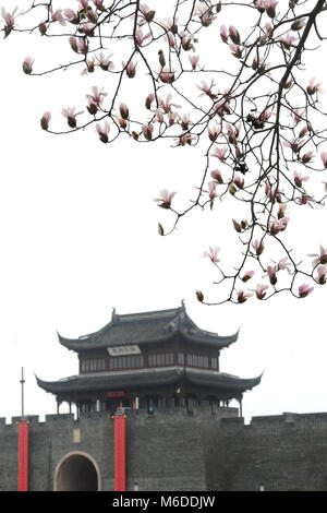 Suzhou, cinese della provincia di Jiangsu. 3 Mar, 2018. Foto scattata il 3 marzo 2018 mostra Yulan fiori di magnolia in Suzhou, est cinese della provincia di Jiangsu, 3 marzo 2018. Credito: Appendere Xingwei/Xinhua/Alamy Live News Foto Stock