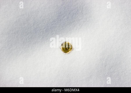 Sulla neve scintillante è singola moneta. Crypto valuta digitale bitcoin dorato. Foto Stock