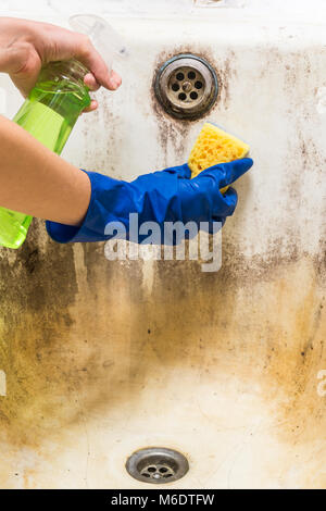 Mani in gomma blu lavoratore handgloves tenere in spugna e spruzzare con detergente pulizia vasca da bagno ricoperto di fungo, sporco e stampo Foto Stock