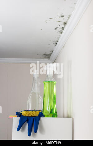 Il soffitto e le pareti di un alloggio contaminati da stampo, la pulizia degli attrezzi per la sua rimozione stand su scaffale Foto Stock