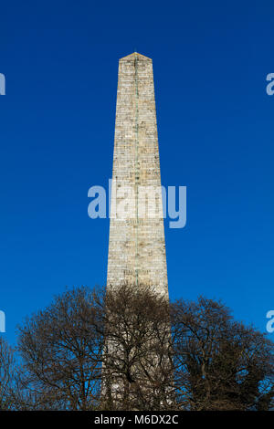 Monumento di Wellington, Phoenix Park di Dublino, Irlanda. L'obelisco è di 62 metri (203 ft) di altezza, è il più grande obelisco in Europa Foto Stock
