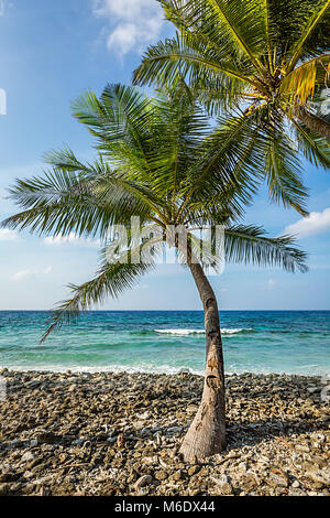 Lo stagno noto come Queen's Pond in Hithadhu, atollo di Addu, Maldive. Foto Stock