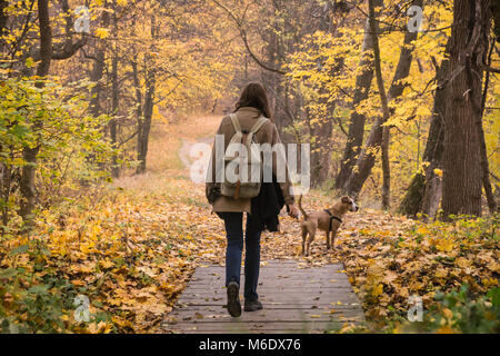 Giovane persona di sesso femminile e il suo animale domestico staffordshire terrier una passeggiata nella foresta e godere di belle ottobre natura e giallo di foglie di albero Foto Stock