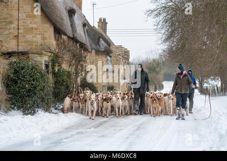 I north cotswolds cacciano i hounds essendo camminati oltre i cottage con tetto di paglia nella neve d'inverno. Broadway, Cotswolds, Worcestershire, Inghilterra Foto Stock