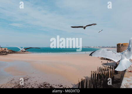 Mont Saint Michel Foto Stock