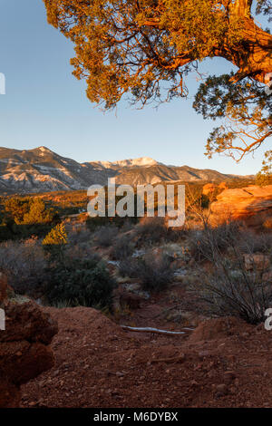 Il sole brilla di luce propria sul Giardino degli Dei con Pikes Peak in background. Foto Stock