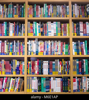 Badajoz, Spagna - 9 agosto 2017: Bookshop pieno schermo di guida di viaggi libri e mappe turistiche, Spagna Foto Stock