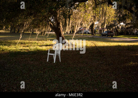 Nature morte e scene che ho venire attraverso Foto Stock