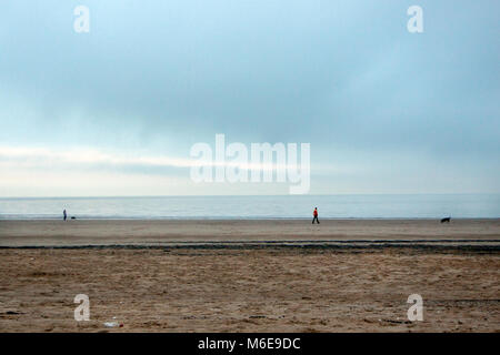 PORTOBELLO, Scozia - gennaio 29 2011: Dog walkers in una fredda giornata invernale in un popolare spiaggia di Edimburgo. Foto Stock