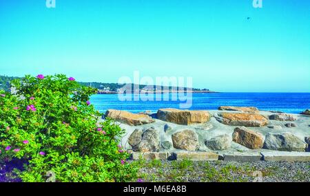 Vista panoramica dell'oceano dal muro del giardino. Foto Stock