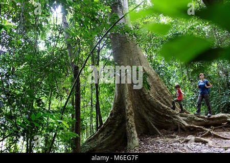 Madre e bambino in piedi da grande albero sulla strada per Berkoh Lata, Taman Negara NP, Malesia Foto Stock