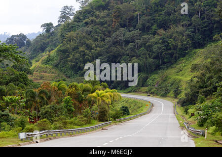 Strada vuota attraverso la foresta pluviale tropicale, Malesia Foto Stock