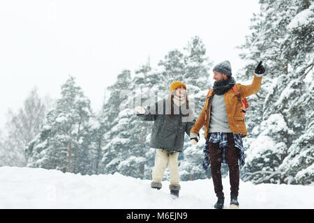 I viaggiatori in foresta Foto Stock