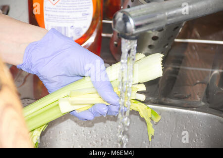 Le mani della donna che indossa guanti blu e lavaggio sedano sotto il rubinetto con acqua corrente in cucina.preparazione alimentare igiene buona pratica di esempio. Foto Stock