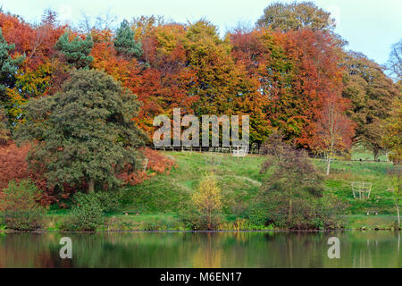 Alberi in Autunno colori sulla riva di un lago in inglese Foto Stock