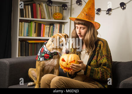 Giovane donna in interni con cucciolo detiene un scolpito pumpking halloween in mani e il PET è curioso e divertente su di esso Foto Stock