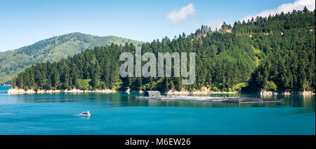 Interislander Ferry Crossing, cuocere diritta, Nuova Zelanda Foto Stock