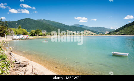 Grove braccio, Abel Tasman, Isola del Sud, Nuova Zelanda Foto Stock