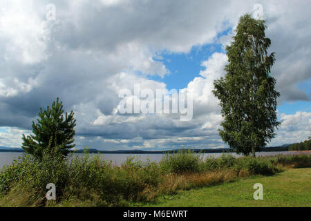 Spiaggia da Orsa lago in Dalarna Svezia, nel mese di agosto. Foto Stock