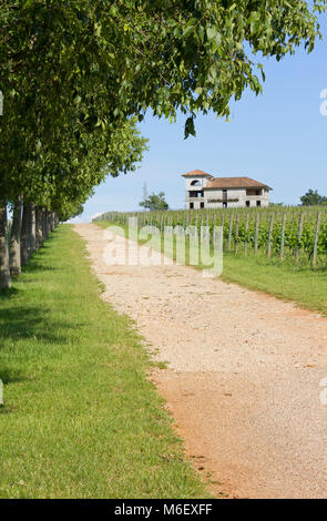 Viale alberato in Vicolo del paese a fianco di una vigna e un edificio rurale in background Foto Stock