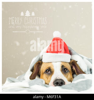 Buon Natale cartolina con funny puppy in Santa Claus hat Foto Stock