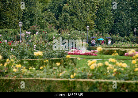 Turisti sotto ombrelloni colorati in una piovosa giornata estiva nel Volksgarten Vienna Foto Stock