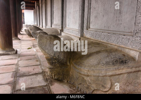 Le tartarughe di pietra tenere pietre su cui i nomi degli studiosi cinesi sono stati scolpiti presso il Tempio della Letteratura ad Hanoi, Vietnam Foto Stock