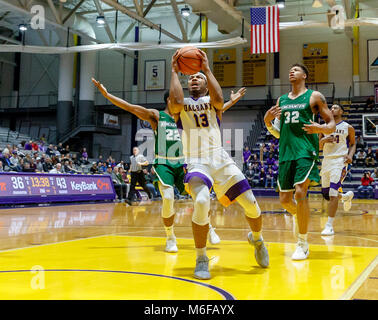 Albany, NY, STATI UNITI D'AMERICA. Il 27 febbraio, 2018. Università di Albany di pallacanestro degli uomini di sconfitte Binghamton University 71-54 al SEFCU Arena, 27 febbraio 2018. David Nichols (#13). (Bruce Dudek/Cal Sport Media/Eclipse Sportswire) Credito: csm/Alamy Live News Foto Stock