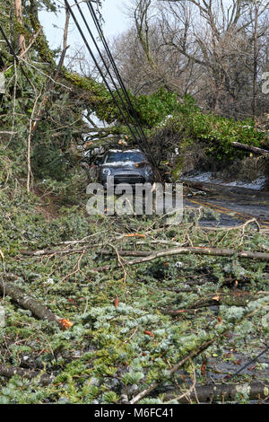 Pennysylvania, STATI UNITI D'AMERICA. Il 3° marzo 2018. Gli alberi cadono sulle linee di alimentazione, automobili e nelle case dopo una estrema meteo tempesta diventa bombogenesis e colpisce la costa est degli Stati Uniti Credito: Don Mennig/Alamy Live News Foto Stock