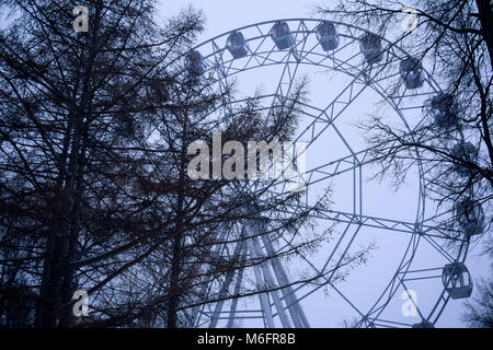 Frammento di una ruota panoramica Ferris, visibile attraverso i rami di alberi di inverno in una nebbiosa serata fosche previsioni Foto Stock