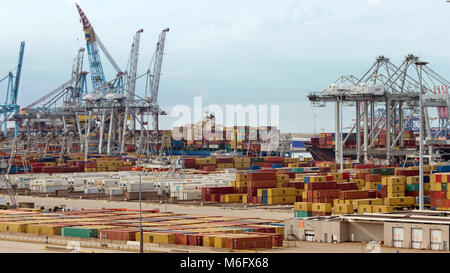 ROTTERDAM - SET 8, 2013: vista sul porto di Rotterdam container terminal con il Gantry cranes e navi essendo caricati Foto Stock