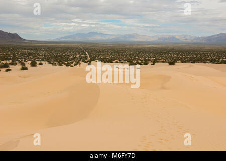 Cadice dune di sabbia a Mojave sentieri monumento nazionale. Foto Stock