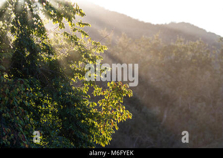 Car Show al Paramount Ranch. Foto Stock