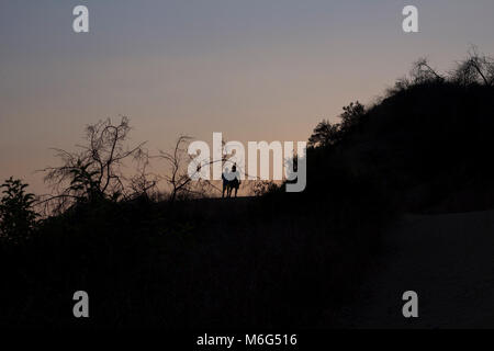 Paseo Miramar Trail. Foto Stock