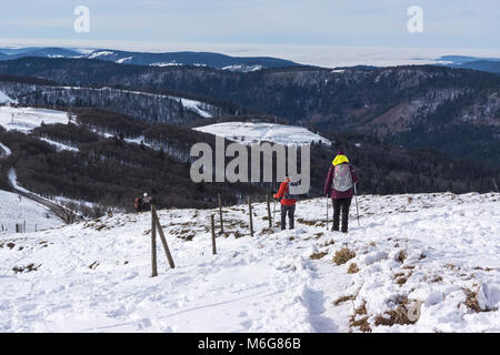 Persone escursioni nelle montagne Vosges in inverno su un crinale nevoso, Hohneck, Francia. Foto Stock