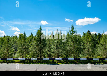 Strada asfaltata vuota con recinzione bianca e nera a strisce contro verde densa foresta di conifere sotto il cielo blu con nuvole bianche in condizioni di bel tempo Foto Stock