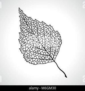 Macro nero foglia di betulla isolato Illustrazione Vettoriale