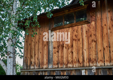 Casa di campagna, la sua facciata adornata da verdeggianti in legno condivide lo spazio con una giovane betulla Foto Stock