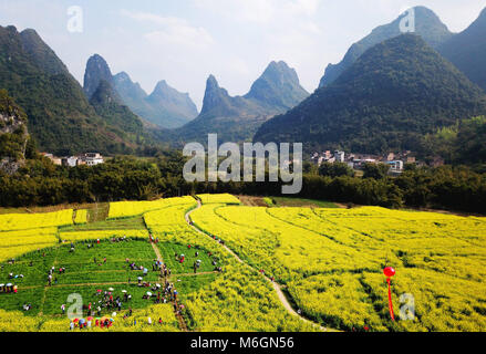 Hechi, della Cina di Guangxi Zhuang Regione autonoma. 3 Mar, 2018. Vista turisti cole fiori in Hechi City, a sud della Cina di Guangxi Zhuang Regione autonoma, 3 marzo 2018. Credito: Meng Zengshi/Xinhua/Alamy Live News Foto Stock