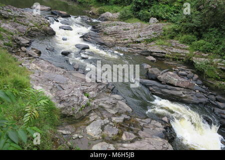 Fiume che scorre per Ranomafana national park in Haute Matsiatra e Vatovavy Fitovinany, Madagascar Foto Stock