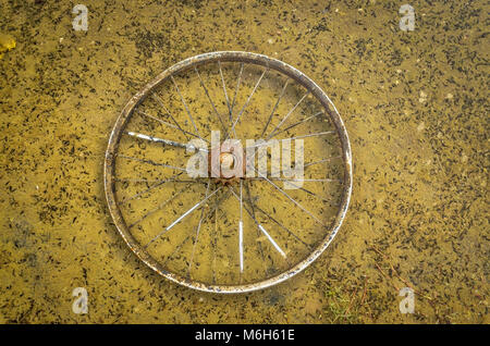 Vecchie e arrugginite ruota di bicicletta in acqua sporca. Inquinamento dell'acqua. Foto Stock