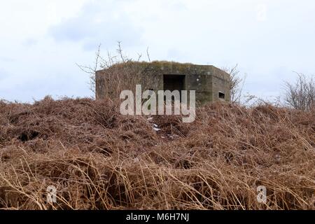 Guerra Mondiale 2 FW3/22 porta pillole in un campo accanto a BT Adastral Park a Martlesham Heath, Suffolk, Regno Unito. Foto Stock