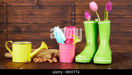 Stivali di gomma, primrose lampadine e utensili da giardinaggio su scuro dello sfondo in legno Foto Stock